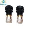 Xe Đạp Điện 2 Chiếc Bánh Không Săm, Lốp Van Vòi Adapter, Dễ Lắp Đặt – 45.892₫
