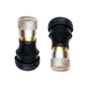 Xe Đạp Điện 2 Chiếc Bánh Không Săm, Lốp Van Vòi Adapter, Dễ Lắp Đặt – 45.892₫ 3