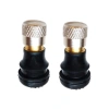 Xe Đạp Điện 2 Chiếc Bánh Không Săm, Lốp Van Vòi Adapter, Dễ Lắp Đặt – 45.892₫ 7