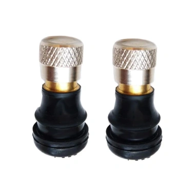 Xe Đạp Điện 2 Chiếc Bánh Không Săm, Lốp Van Vòi Adapter, Dễ Lắp Đặt – 45.892₫