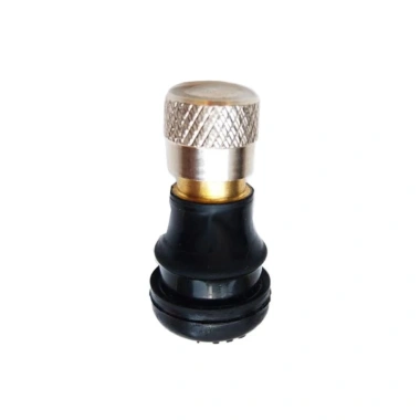 Xe Đạp Điện 2 Chiếc Bánh Không Săm, Lốp Van Vòi Adapter, Dễ Lắp Đặt – 45.892₫
