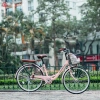 Xe đạp LD24-26 Pastel 24-26 inch, phụ kiện lục giác, dầu xích, bơm, đệm, khóa, giỏ, chuông, lưới - Giá 2.95 triệu 3