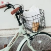 Xe đạp LD24-26 Pastel 24-26 inch, phụ kiện lục giác, dầu xích, bơm, đệm, khóa, giỏ, chuông, lưới - Giá 2.95 triệu 5