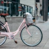 Xe đạp LD24-26 Pastel 24-26 inch, phụ kiện lục giác, dầu xích, bơm, đệm, khóa, giỏ, chuông, lưới - Giá 2.95 triệu 9