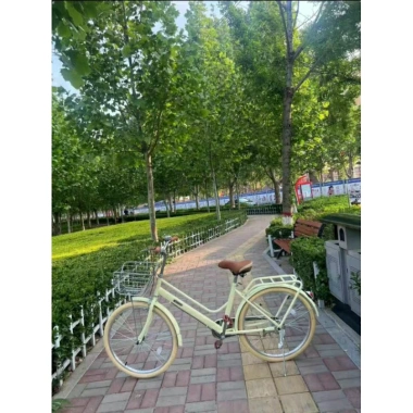 Xe Đạp Mini Nữ Classic S420 24-26 inch - Thiết kế thời trang, nhẹ, giảm giá tới 16% - Giá 2.68 triệu 5