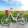 Xe đạp nữ mini Tiến Phát và Thống Nhất tặng bơm, chặn chân, đệm sau – chỉ 2.055.000₫ 4