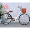 Xe đạp nữ mini Tiến Phát và Thống Nhất tặng bơm, chặn chân, đệm sau – chỉ 2.055.000₫ 7