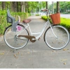 Xe đạp nữ Thống Nhất Mini New 2.025 - Giá chỉ 2.720.000đ, tặng chuông, đệm sau, chặn chân, bơm 5