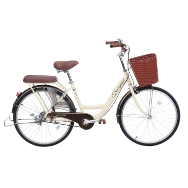 Xe đạp nữ Thống Nhất Mini New 2.025 - Giá chỉ 2.720.000đ, tặng chuông, đệm sau, chặn chân, bơm