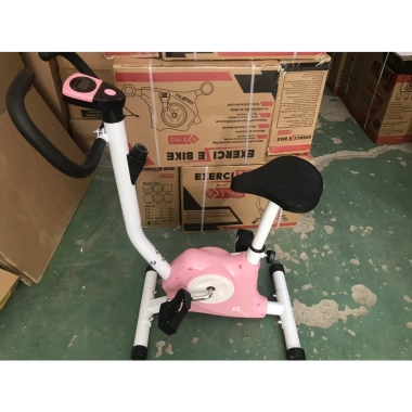 Xe đạp thể dục Professionall.gym19 YS02 - Kháng lực điều chỉnh, giá chỉ 999.000đ