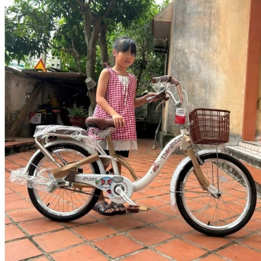 Xe đạp trẻ em 20inch Thống Nhất - Bé gái 7-12 tuổi, giảm giá, thiết kế an toàn