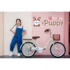 Xe đạp trẻ em Thống Nhất Puppy 20inch học sinh cấp 1 - Bộ lục giác, dầu xích, bơm, khóa, giỏ - Giá 2.3 triệu 5