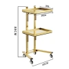 Xe Đẩy 2 Tầng Mạ Vàng Inox Đựng Dụng Cụ Spa Y Tế Thẩm Mỹ, Bền Chắc 850k 3