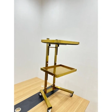 Xe Đẩy 2 Tầng Mạ Vàng Inox Đựng Dụng Cụ Spa Y Tế Thẩm Mỹ, Bền Chắc 850k