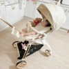 Xe đẩy Able Cozy Shine Hàn Quốc cao cấp cho bé - Giá ưu đãi 7.650.000đ Paddybaby 3