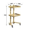 Xe Đẩy Inox Mạ Vàng Spa Gấp Gọn - Cao Cấp, Tiện Lợi, Giá ưu đãi 798k