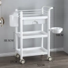 Xe Đẩy Spa Cao Cấp 3 Tầng - Giỏ Tiện Lợi Đa Chức Năng, Giá Ưu Đãi 470.000 VND 6