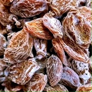 Xí Muội Thịt Không Hạt Con Voi Chua Mặn Ngọt 2kg – Giá 85k, hương vị thơm ngon