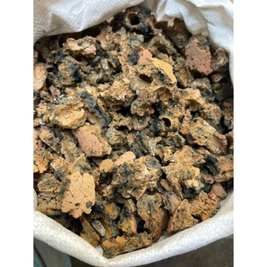 Xỉ than tổ ong không nguyên viên - Dinh dưỡng cho lòc nước bể cá, trồng cây, sen đá - Giá chỉ 8.500 VND