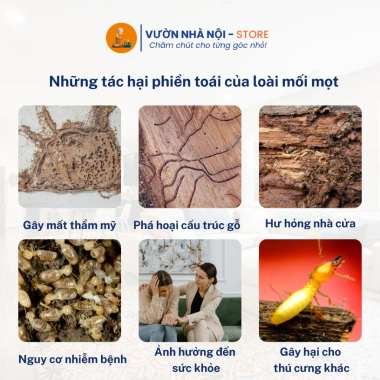 Xịt Diệt Mối Mọt Thái Lan 500ml Bảo Vệ Đồ Gỗ, Tủ Bếp, Sàn Gỗ An Toàn, Hiệu Quả