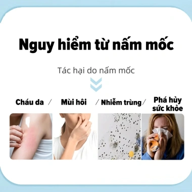 Xịt diệt nấm 99.9% nhập khẩu Nhật Bản – Ngăn ngừa nấm mốc, không để lại vết bẩn, hiệu quả cao 2 Xịt diệt nấm 99.9% nhập khẩu Nhật Bản – Ngăn ngừa nấm mốc, không để lại vết bẩn, hiệu quả cao 2