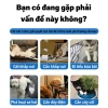 Xịt đuổi mèo, chó, kiến 510ml - Không còn vết cào, giảm giá 69.999₫ 2