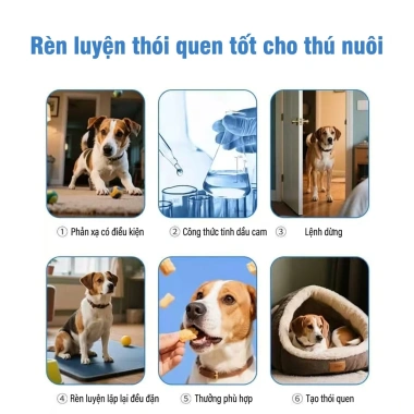 Xịt đuổi mèo, chó, kiến 510ml - Không còn vết cào, giảm giá 69.999₫ 6 Xịt đuổi mèo, chó, kiến 510ml - Không còn vết cào, giảm giá 69.999₫ 6