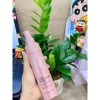 Xịt dưỡng tóc hương nước hoa Kalispro 210ml - Dưỡng, phục hồi, gỡ rối nhanh, 137.200 VND
