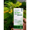 Xịt Họng Thảo Dược Cao Cấp Herbal - Giảm Đau Họng, Giảm Ho, Giá 79.000đ