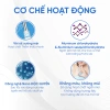 Xịt khử mùi toàn thân BEUFRESH 30ml - Lăn ngăn mồ hôi, hạn chế mùi cơ thể, chỉ 142.100 VND 6