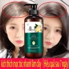 Xịt Mọc Tóc Gừng 7 Ngày 30ml - Dưỡng tinh dầu, phục hồi hư tổn, giảm gãy rụng, kích thích tóc nhanh