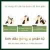 Xịt Mọc Tóc Gừng 7 Ngày 30ml - Dưỡng tinh dầu, phục hồi hư tổn, giảm gãy rụng, kích thích tóc nhanh 7