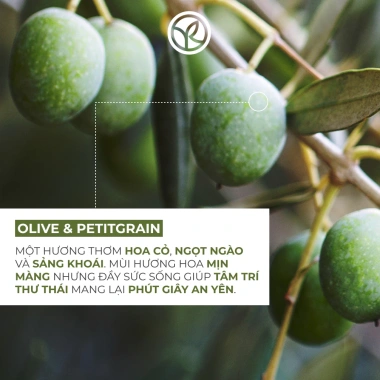 Xịt Thơm Toàn Thân Yves Rocher Olive 100ml - Hương Oliu Tươi Mát, Giảm Giá 342k