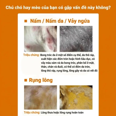 Xịt trị nấm da cho chó mèo 500ml – Phục hồi nhanh, an toàn cho thú cưng, giá ưu đãi 98.979₫