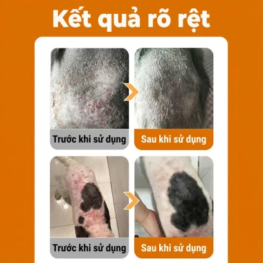 Xịt trị nấm da cho chó mèo 500ml – Phục hồi nhanh, an toàn cho thú cưng, giá ưu đãi 98.979₫ 5 Xịt trị nấm da cho chó mèo 500ml – Phục hồi nhanh, an toàn cho thú cưng, giá ưu đãi 98.979₫ 5