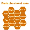 Xịt trị nấm da cho chó mèo 500ml – Phục hồi nhanh, an toàn cho thú cưng, giá ưu đãi 98.979₫ 6