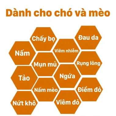 Xịt trị nấm da cho chó mèo 500ml – Phục hồi nhanh, an toàn cho thú cưng, giá ưu đãi 98.979₫ 6 Xịt trị nấm da cho chó mèo 500ml – Phục hồi nhanh, an toàn cho thú cưng, giá ưu đãi 98.979₫ 6