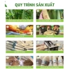 Xơ Mướp Ép 100% Organic Set 4 Khúc - Giá ưu đãi 63.960₫, hỗ trợ sức khỏe 5