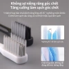 Y-kelin Bàn chải đánh răng chỉnh nha chùm đơn V - Lông mềm, 1 chải liên ngành, giá ưu đãi 20.248₫ 3