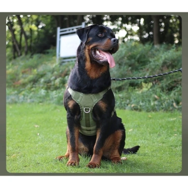 Yếm chó chống giật 10-45kg, đệm lót thoáng khí, áo ghi‑lê, dây dắt 1.5m, dải phản quang cho Husky & Labrador 4 Yếm chó chống giật 10-45kg, đệm lót thoáng khí, áo ghi‑lê, dây dắt 1.5m, dải phản quang cho Husky & Labrador 4
