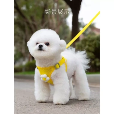 Yếm thú cưng chống tuột thoáng khí - Dành cho mèo & chó nhỏ, tặng dây 2m 8