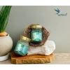 Yến Chưng Không Đường Combo 10 Hũ 70ml - Giá 292.800đ, Dinh Dưỡng Cao 3