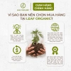 Yến mạch cán mỏng hữu cơ Markal 500g - Dinh dưỡng cao, giảm giá 107.730 VND 6