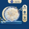 Yến Sào Nguyên Tổ Rút Lông Dewist 1Tổ 10g 100% Nguyên Chất Giữ Nguyên Chân Lớp Sợi Bụng 419.000₫ 2
