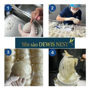 Yến Sào Nguyên Tổ Rút Lông Dewist 1Tổ 10g 100% Nguyên Chất Giữ Nguyên Chân Lớp Sợi Bụng 419.000₫ 6