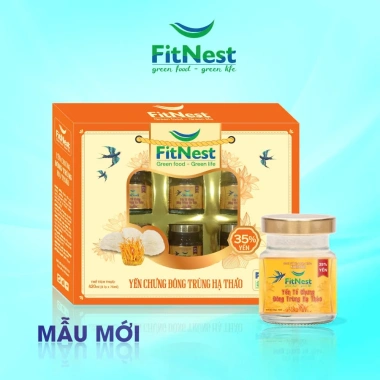 Yến Tổ Chưng Đông Trùng Hạ Thảo FitNest 6 hũ 70ml - Không túi, giá ưu đãi 125k, giàu protein, tăng sức đề kháng, hỗ trợ sức khỏe