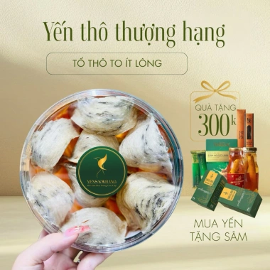 Yến tổ thô thượng hạng Khánh Hòa 50-100gr - Hộp Yến sào Khang ưu đãi 1.820.000đ cho gia đình