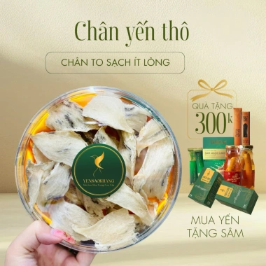Yến tổ thô thượng hạng Khánh Hòa 50-100gr - Hộp Yến sào Khang ưu đãi 1.820.000đ cho gia đình