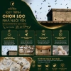 Yến tổ thô thượng hạng Khánh Hòa 50-100gr - Hộp Yến sào Khang ưu đãi 1.820.000đ cho gia đình 3