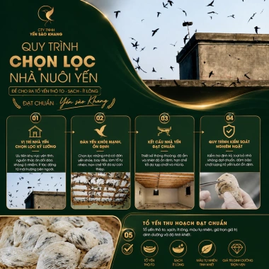 Yến tổ thô thượng hạng Khánh Hòa 50-100gr - Hộp Yến sào Khang ưu đãi 1.820.000đ cho gia đình